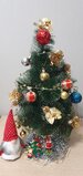20231210_170836.jpg