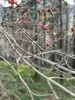 43940c87-1caa-44f0-8911-7ce2da6d8011.webp
