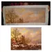 collage.webp