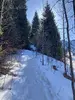 1740381584438.webp