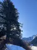 1740381670317.webp