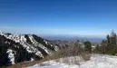 1740381735167.webp