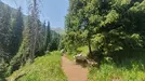 2025-06-19_10-17-23.webp