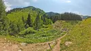 2025-06-25_10-02-22-hdr.webp