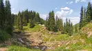 2025-06-25_10-22-10-hdr.webp
