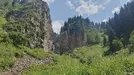 2025-06-25_10-44-49.webp