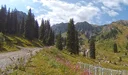 IMG_20250808_101017-1400.webp