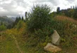 IMG_20250808_132531-1400.webp