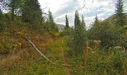IMG_20250808_141439-1400.webp