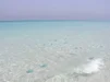 SANY0178.webp