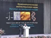 вирджиния2.webp