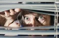 бред.webp