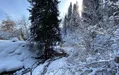 260315-1.webp