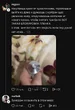 1775707151507.webp