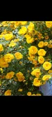 Screenshot_20260506_114827_Gallery.webp