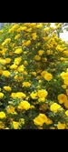 Screenshot_20260506_114746_Gallery.webp