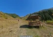 ким-асар24.webp