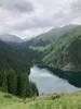 1781061424087.webp