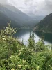 1781061650162.webp