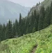 1781061733227.webp