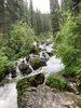 1781061762269.webp