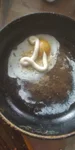 1791465231533.webp
