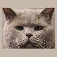 Леопольд Мышкин